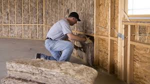 Best Eco-Friendly Insulation Solutions  in Perry, OH